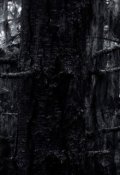 Обложка книги "Чёрный Лес"