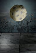 Обложка книги "Упавшая луна"