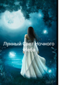 Обложка книги "Лунный свет ночного неба"