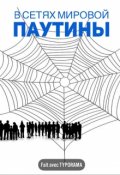 Обложка книги "В сетях мировой паутины"