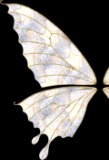 Обложка книги "Крылья"