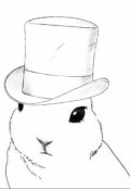 Обложка книги "Зазеркалье - подстава от Белого Кролика"