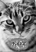 Обложка книги "Кот"