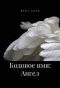 Обложка книги "Кодовое имя: Ангел"