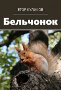 Обложка книги "Бельчонок"