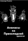 Обложка книги "Ананасы из Преисподней | Прототип"
