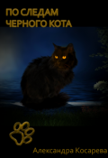 Обложка книги "По следам черного кота"