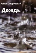 Обложка книги "Дождь"