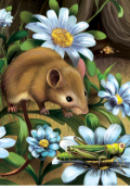 Обложка книги "Мышка И Кузнечик"