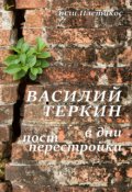 Обложка книги "Василий Теркин в дни постперестройки"