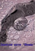 Обложка книги "Записки моего кота"
