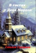 Обложка книги "В гостях у Деда Мороза"