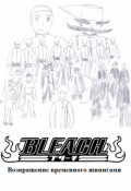 Обложка книги "Bleach. Возвращение временного шинигами"