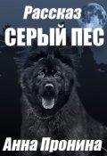 Обложка книги "Серый пёс"