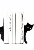 Обложка книги "Жил был кот"