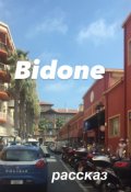 Обложка книги "Bidone"