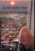 Обложка книги "Город красных крыш.Зажечь солнце."