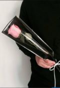 Обложка книги "Роза в пластиковой упаковке"