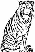 Обложка книги "Год тигра."