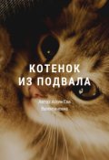 Обложка книги "Котенок из подвала"