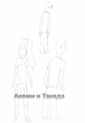 Обложка книги "Такеда и Акеми"