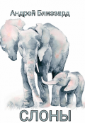 Обложка книги "Слоны"