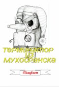 Обложка книги "Терминатор из Мухосранска"