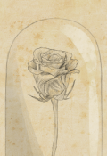 Обложка книги "Роза"