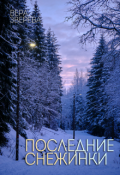 Обложка книги "Последние снежинки"