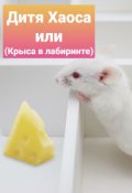 Обложка книги "Дитя Хаоса или (крыса в лабиринте.)"