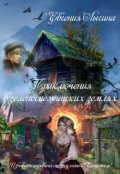 Обложка книги "Приключения в зеленоснежинских землях"