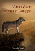 Обложка книги "Волчица Сандра "