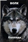 Обложка книги "Волк"