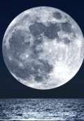 Обложка книги "Пропавшая Луна"