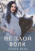 Обложка книги "Не злой волк"