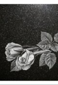 Обложка книги "Бумажные розы"