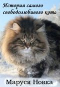 Обложка книги "История самого свободолюбивого кота"