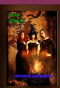 Обложка книги "Сказка про ведьм Боркмута."