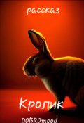 Обложка книги "Кролик"