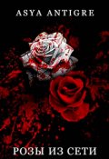 Обложка книги "Розы из сети"