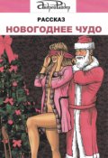 Обложка книги "Новогоднее чудо"
