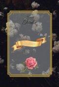 Обложка книги "Элегия"