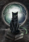 Обложка книги "Ведьминская кошка, изменившая жизнь "
