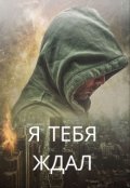 Обложка книги "Я тебя ждал"