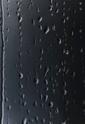 Обложка книги "Под дождём"