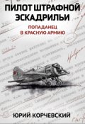 Обложка книги "Пилот штрафной эскадрильи"