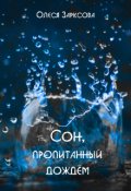 Обложка книги "Сон, пропитанный дождём"