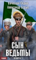 Обложка книги "Сын ведьмы"