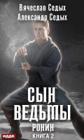 Обложка книги "Ронин"