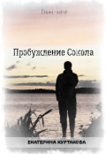 Обложка книги "Спин-офф "Пробуждение Сокола""